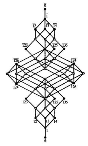 willelattice1984.jpg